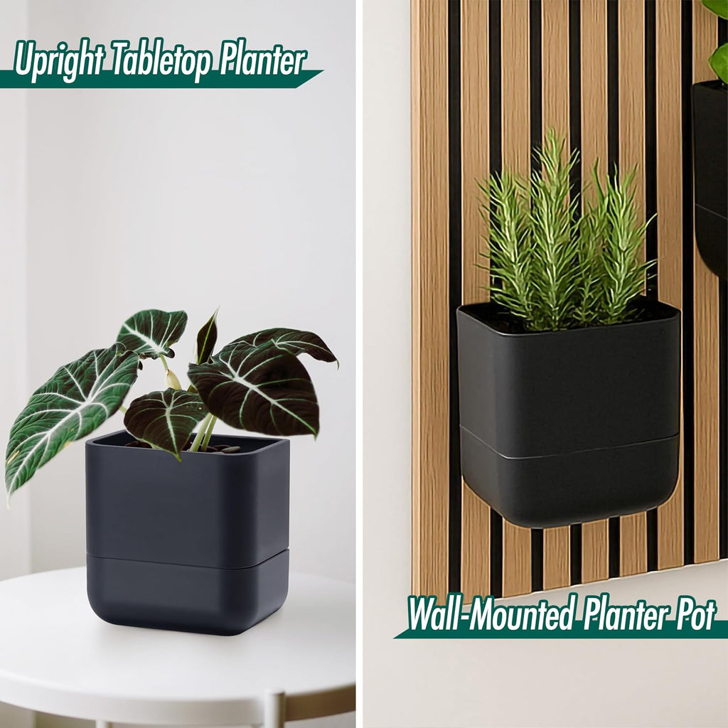 Phoenix Vine 6.5 Inch Wall Mounted Self-Watering Planter Pot for Indoor Houseplants and Herbs | Hanging Planter for