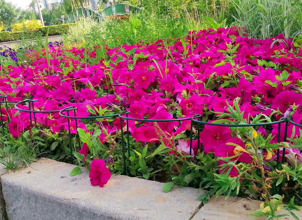 12 Pack 15.8 Inch High Plant Stake,Garden Plant Support,Half-Round Peony Cage Plant Ring Hoop