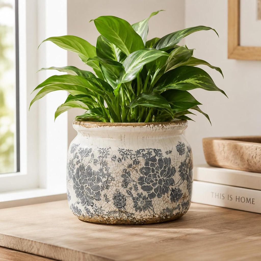 Dosayes Large Ceramic Pot for Planters, Ice Crack Glazed Flower Pot with Drainage Holes,5.91inch Vintage Planters for