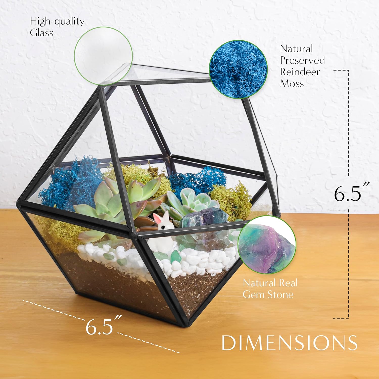 Creations by Nathalie DIY Geometric Terrarium Kit with Live Plant and Moss | DIY geometric glass terrarium kit with