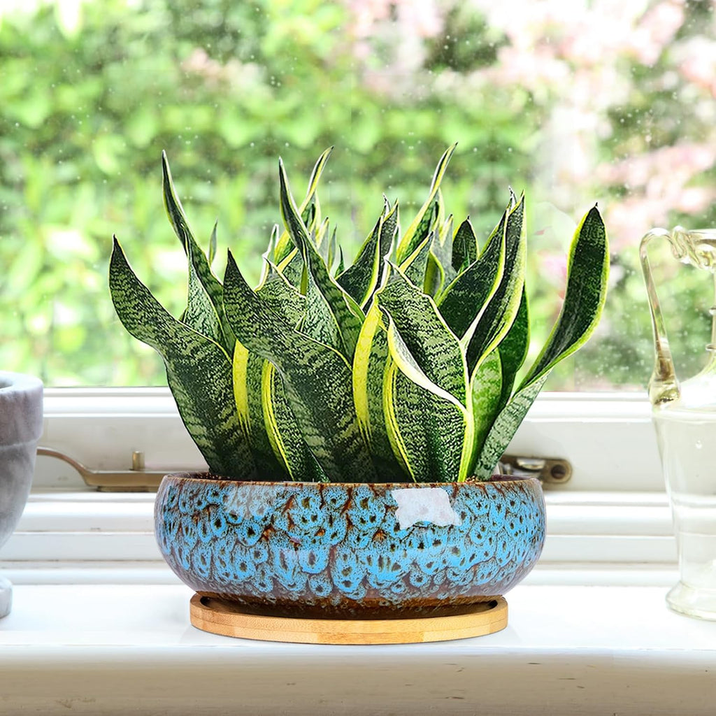 ARTKETTY Succulent Pots, 7.5 Inch Large Plant Pots with Bamboo Tray | Shallow Bonsai Pots with Drainage, Ceramic