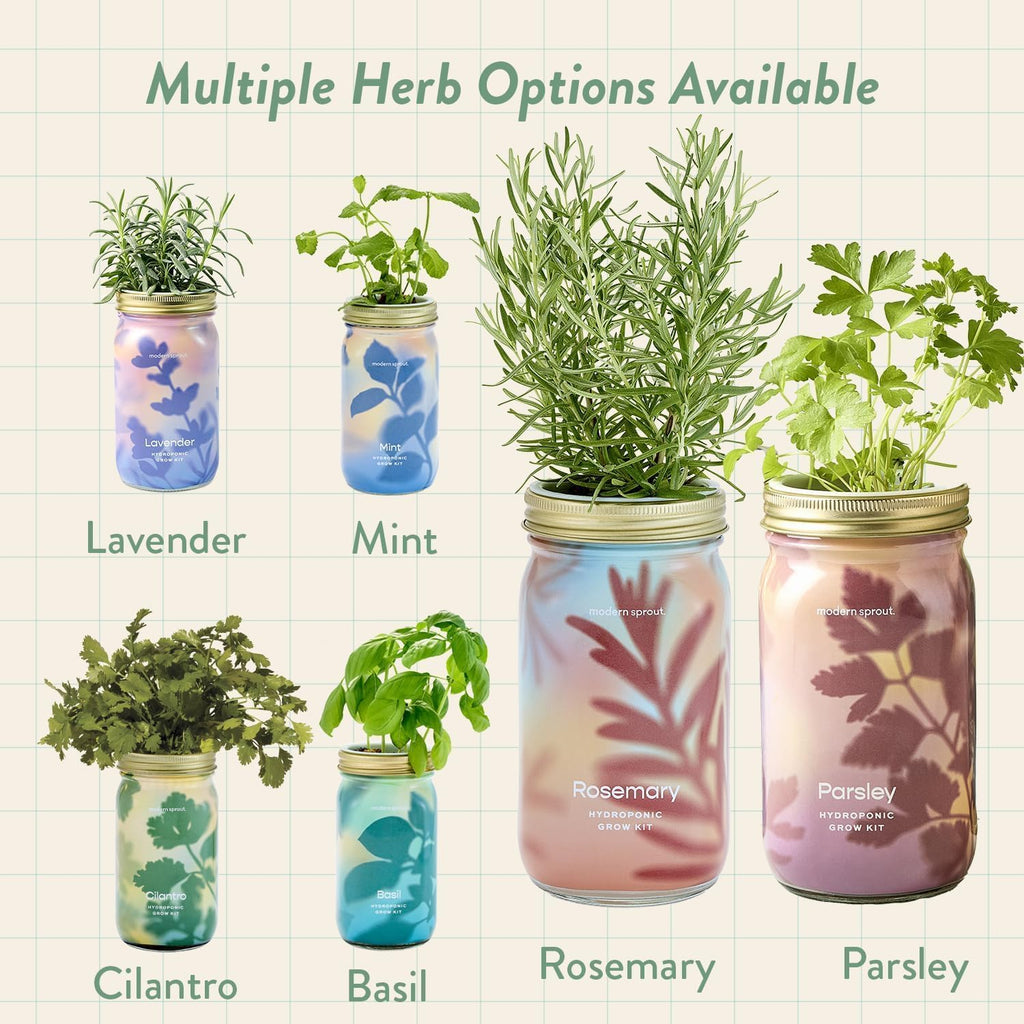 Modern Sprout Garden Jars + Smart Growbar Bundle- Basil, Rosemary & Parsley | Self-Watering Hydroponic Herb Growing Kit