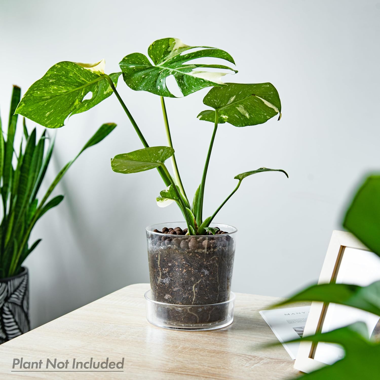 Phoenix Vine 6.5 Inch Clear Acrylic Planter Pot with Tray, Orchid Pot with Drainage Holes, Deep Saucer for Bottom