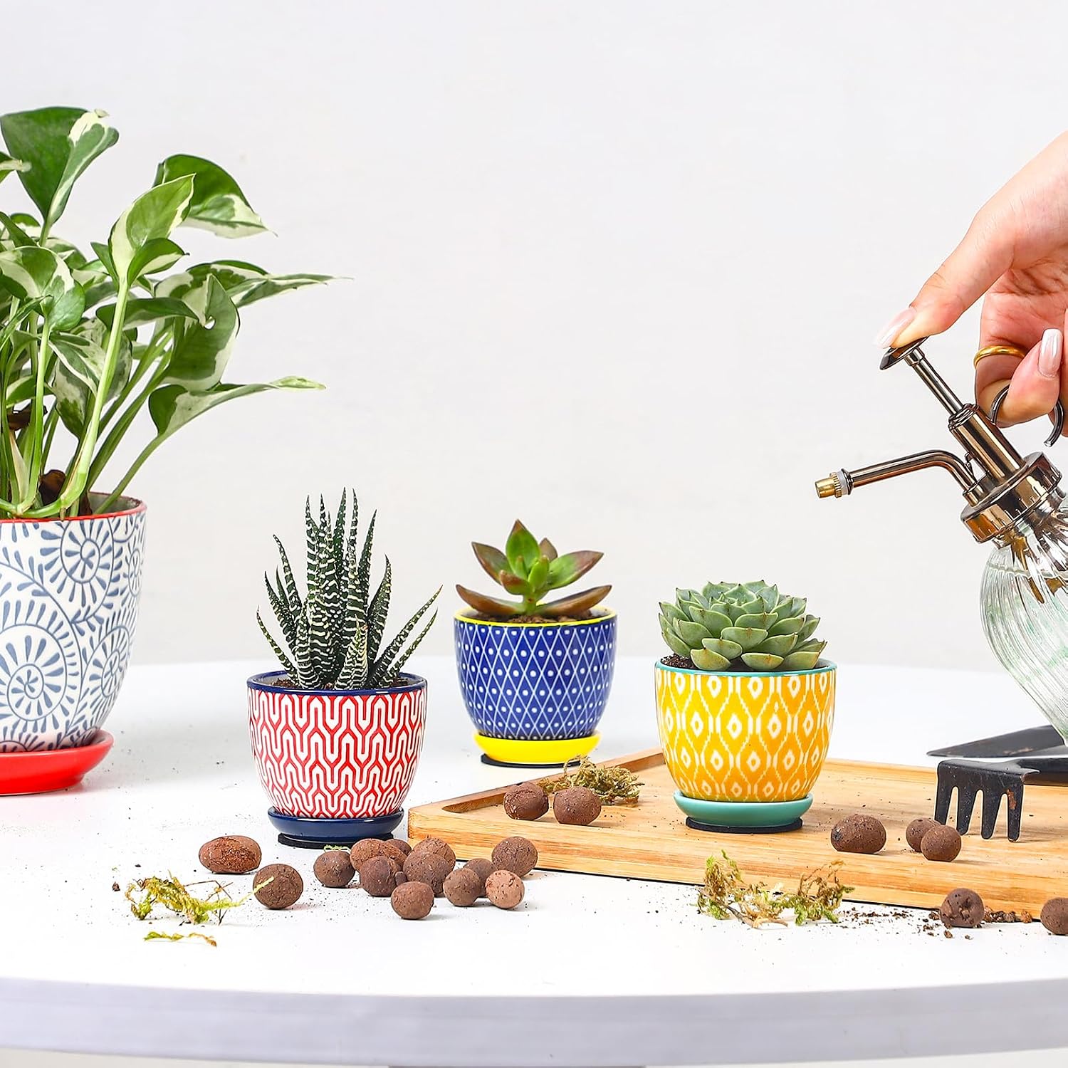 Selamica Ceramic 2.4 Inch Succulent Pots, Mini Flower Pots for Cactus Plant with Drainage Holes & Saucers, Home Decor