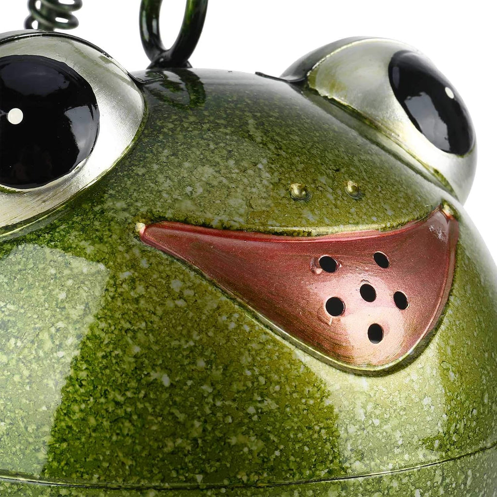 Frog Watering Can for Outdoor Indoor House Bonsai Plants Flower Sprinkling Pot Yard Lawn Garden Decor