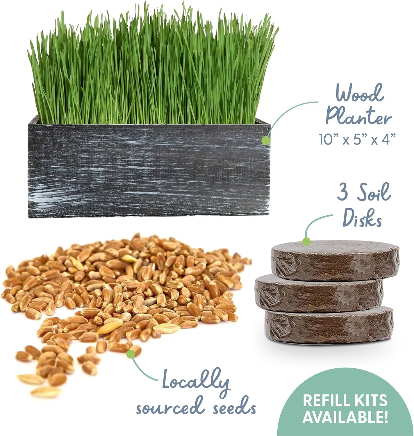 The Cat Ladies Cat Grass Kit with Black Rustic Wooden Planter, Organic Cat Grass Seeds and Soil. Easy to Grow Cat Grass