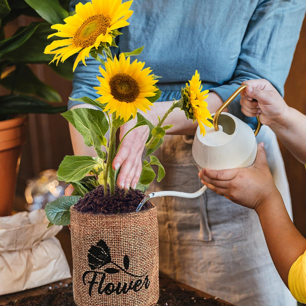 Indoor Daisy Garden Starter Kit, 4 Flower Seeds Growing into Shasta Daisy, Cornflower, Sunflower, Zinnia, Including