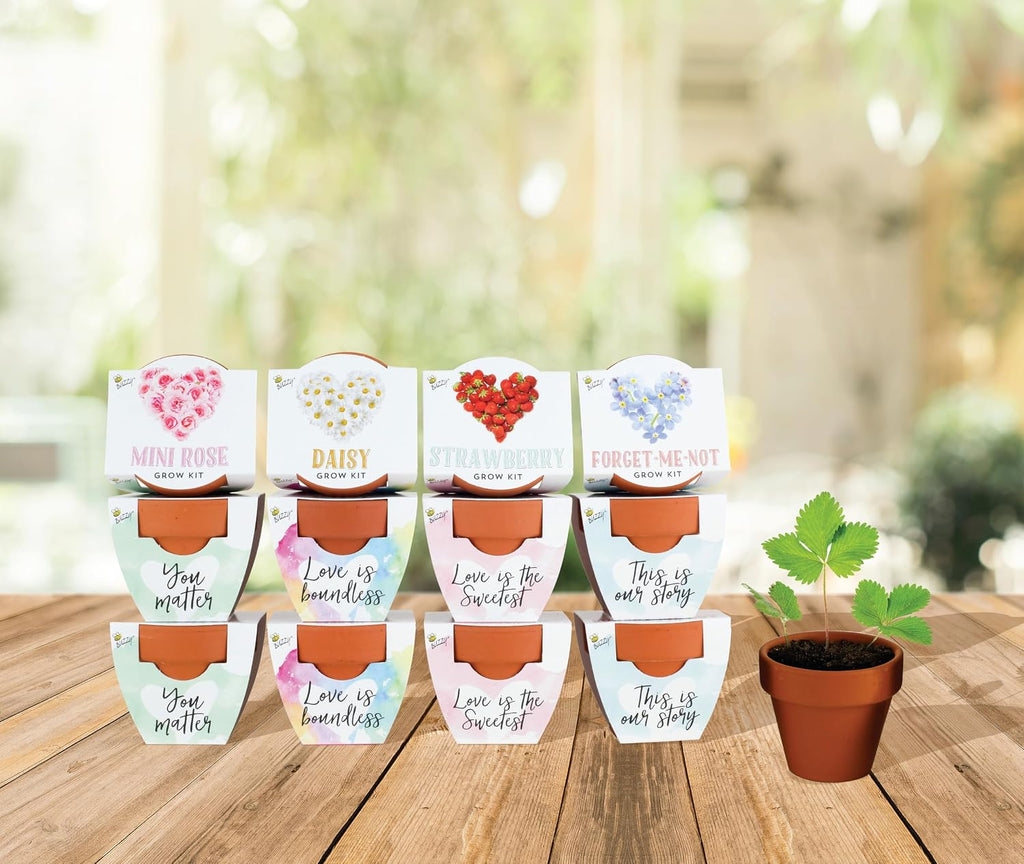 BUZZY Seeds Love Collection Grow Kit, Assorted 12-Pack - Mini Terracotta Pot Grow Set - 100% Grow Guarantee