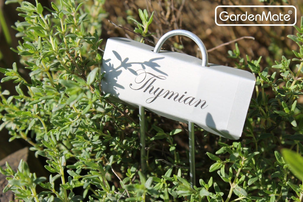 GardenMate 25-Pack Weatherproof Mini Metal Plant Labels, Height 5 3/4'', Label Area 7/8'' x 2 1/2''