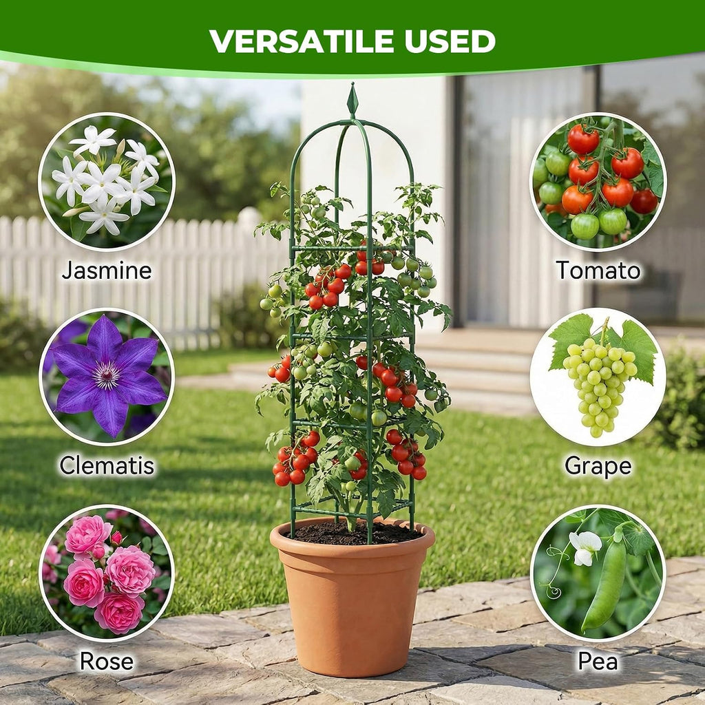 2 Pack Garden Obelisk Trellis for Climbing Plants, 6 FT Metal Rustproof Plant Support Rose Trellis, Tower Potted Cages