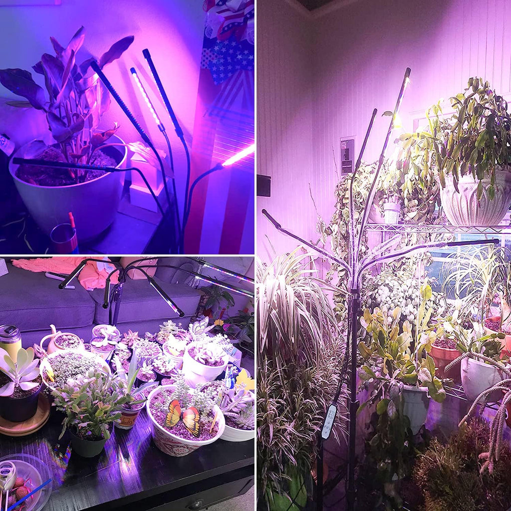 Grow Lights for Indoor Plants with Stand, Red Blue Full Spectrum | 5-Head Gooseneck Plant Lamp, 6/12/16H Auto Timer
