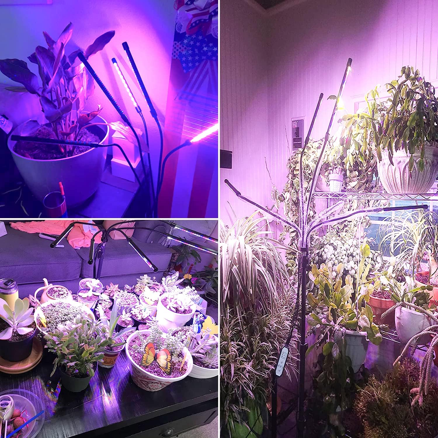 Grow Lights for Indoor Plants with Stand, Red Blue Full Spectrum | 5-Head Gooseneck Plant Lamp, 6/12/16H Auto Timer