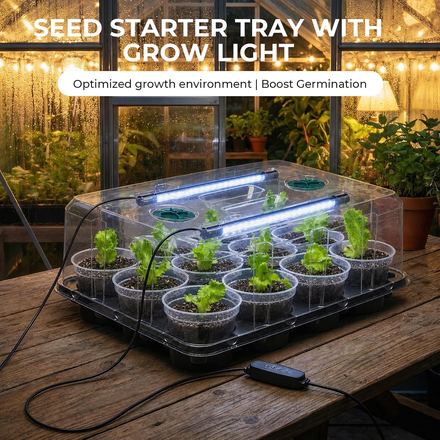 4 Inch Seed Starter Trays 2 Pack, 12-Cell | With Grow Light, Humidity Dome, 24 Pcs 4" Nursery Pots, Plastic Germination
