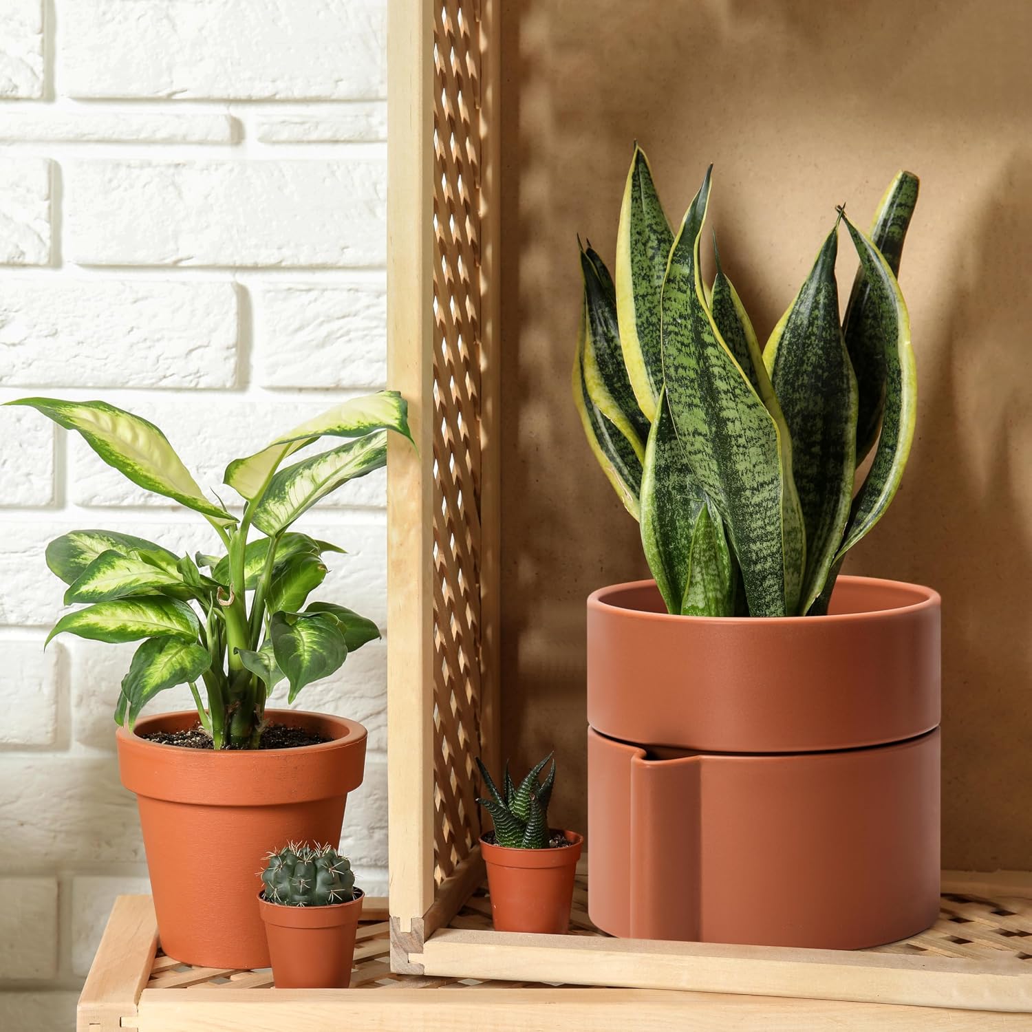 8 Inch Self-Watering Planter Pot with Terracotta Insert, Deep Water Reservoir, and Ceramic-Alike BPA-Free Plastic