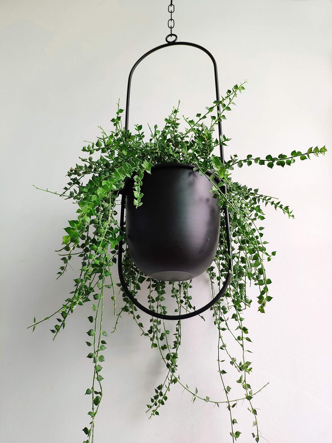 RISEON Boho Black Metal Plant Hanger,Metal Wall and Ceiling Hanging Planter, Modern Planter, Mid Century Flower Pot