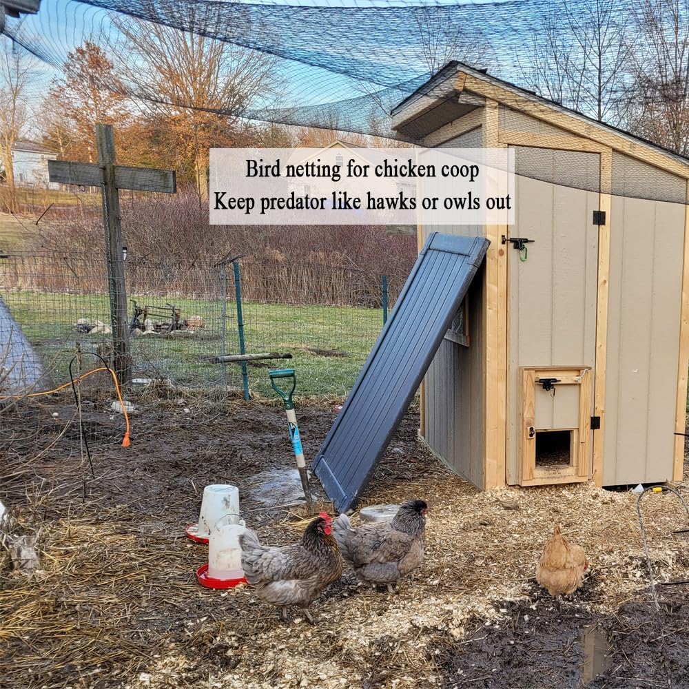 Bird Netting for Chicken Coop 25x50 Ft, 1" Mesh Aviary Netting | Woven Chicken Run Roof Cover, Protects Against Hawks &