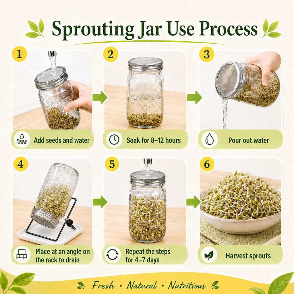 Sprouting Jar Kit,2pcs 1000ml Wide-Mouth Mason Jars with 316 Stainless Steel Sprouting Lids