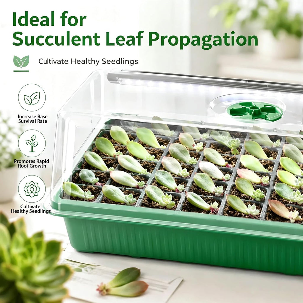 Seed Starter Tray with Timed Grow Light, 2 Pack 80 Cells Plant Starter Tray Seedling Starter Kit with Humidity Domes