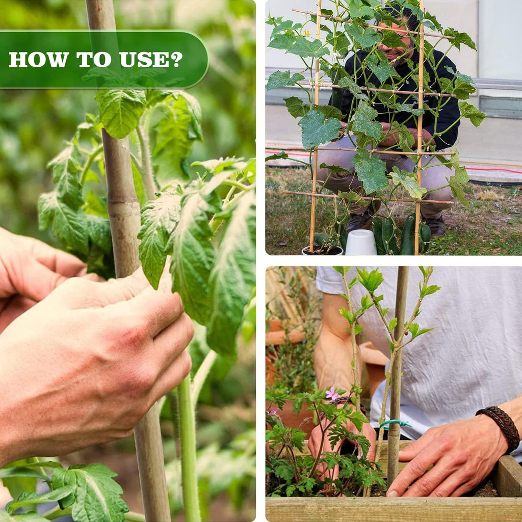 Jollybower 25pcs 1/2" D Thicker Heavy Duty Bamboo Stakes, 4FT Plant Stakes, Natural Garden Stakes for Tomato, Bean
