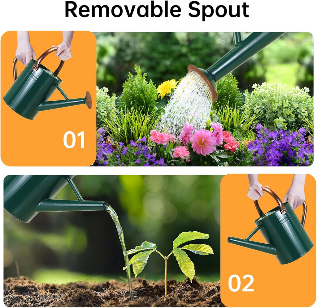 Metal Watering Can for Outdoor Plants, 1 Gallon Galvanized Steel Watering Can with Removable spout for Outdoor & Indoor