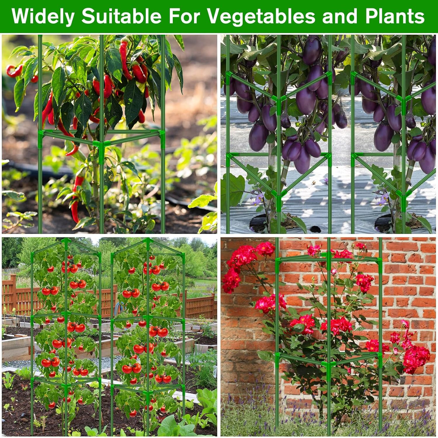 6 Pack Tomato Cages for Garden, Tomato Cage Trellis, Garden Cage Heavy Duty | Tomato Stake Support, Garden Stakes Plant