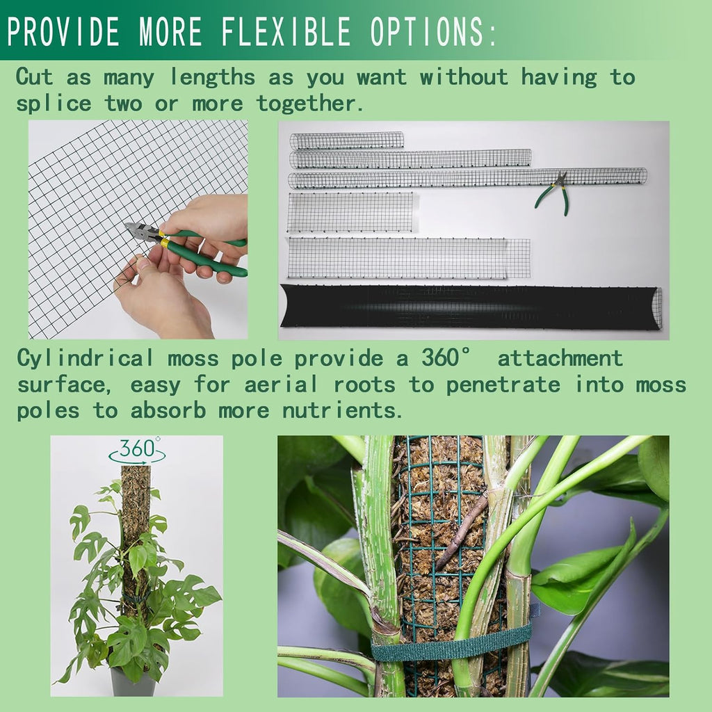 Metal Moss Poles for Climbing Plants, D-Shape Sphagnum Moss Pole Monstera Plant Support for Climbing Plants, DIY Plant