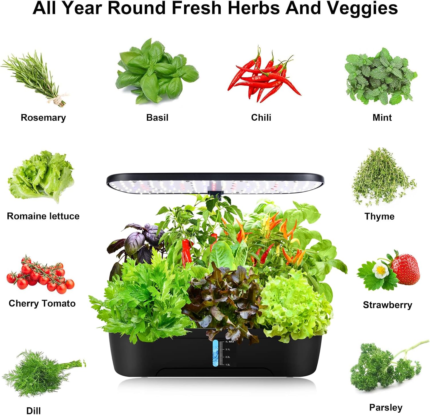 Hydroponics Growing System Kit 12 Pods Indoor Herb Garden with Grow Light | Hydrophonic Planter with Automatic Timer