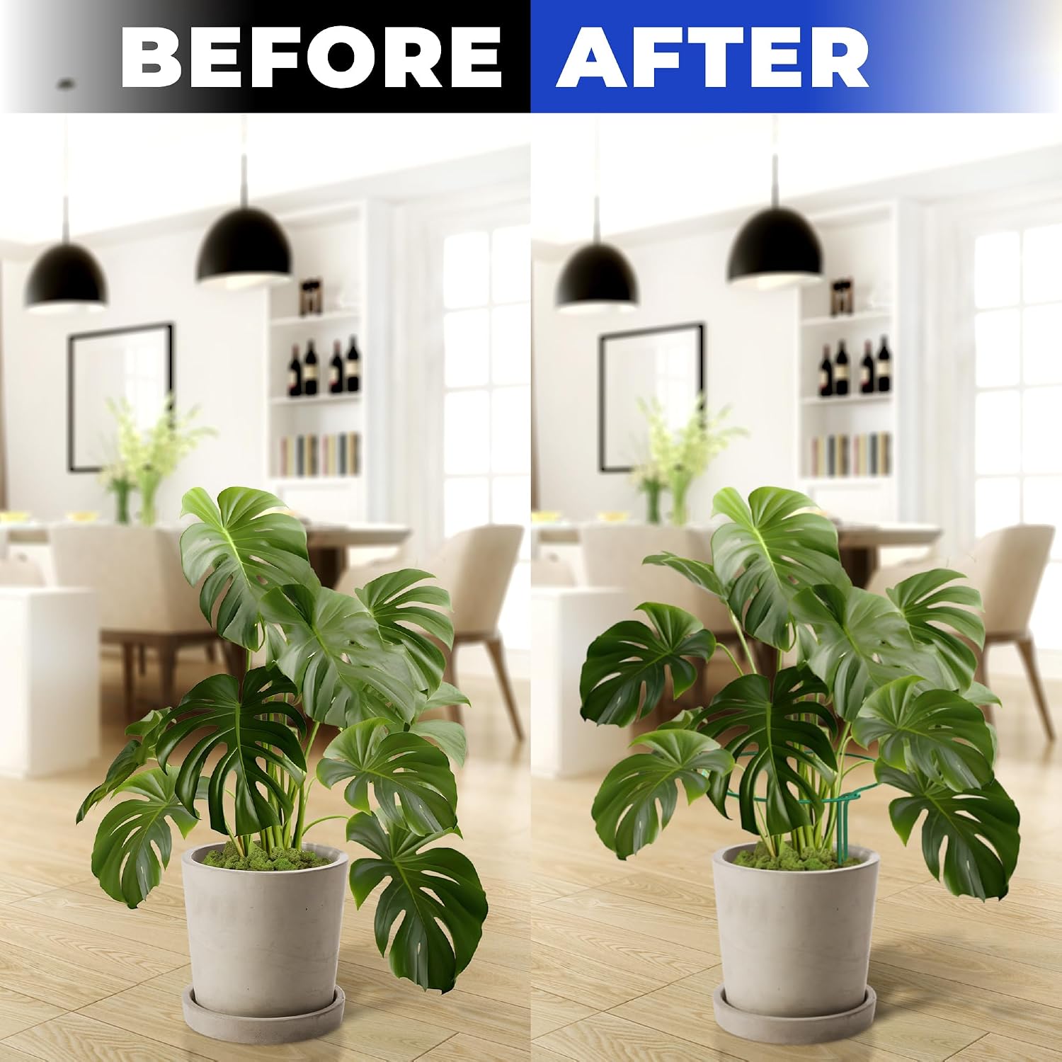 12 Pack Tall Snake Plant Support Stakes – 10" W x 24" H Half Round Peony Cages and Supports for Indoor and Outdoor