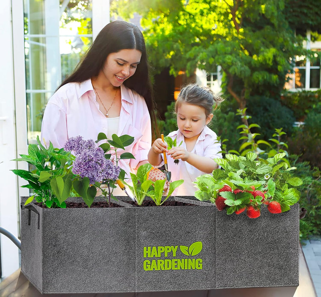 Fabric Grow Bags, 2-Pack Raised Garden Bed with Handle for Vegetable Herbs Gardening, Fabric Plant Pots Planter Indoor