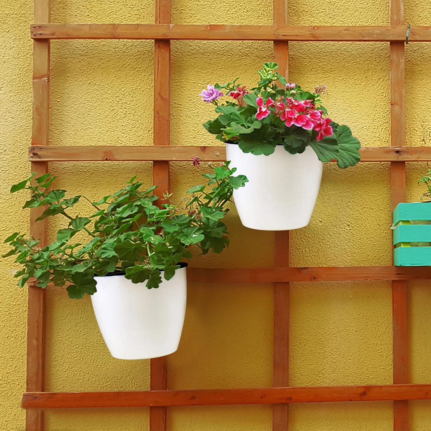 JAPCHET 8 Pack 7 Inch Self Watering Hanging Planters, Wall Hanging Plastic Planter Pot with 8 Hooks, Lazy Flower Pots