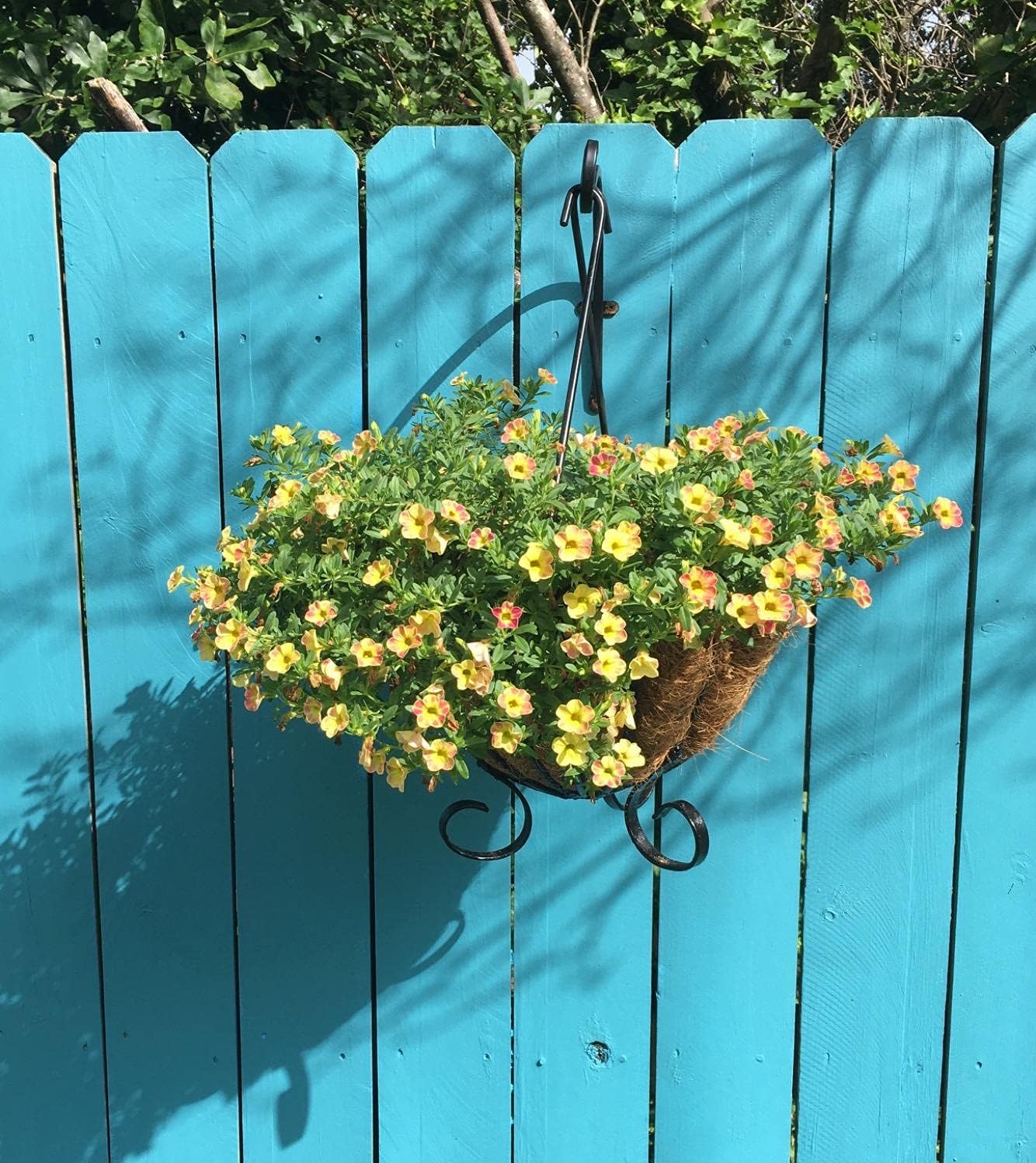 4 Pack Heavy Duty Plant Hanger Bracket, 12Inch Hanging Brackets for Plants Outdoor and Indoor, 80lbs Holding Capacity