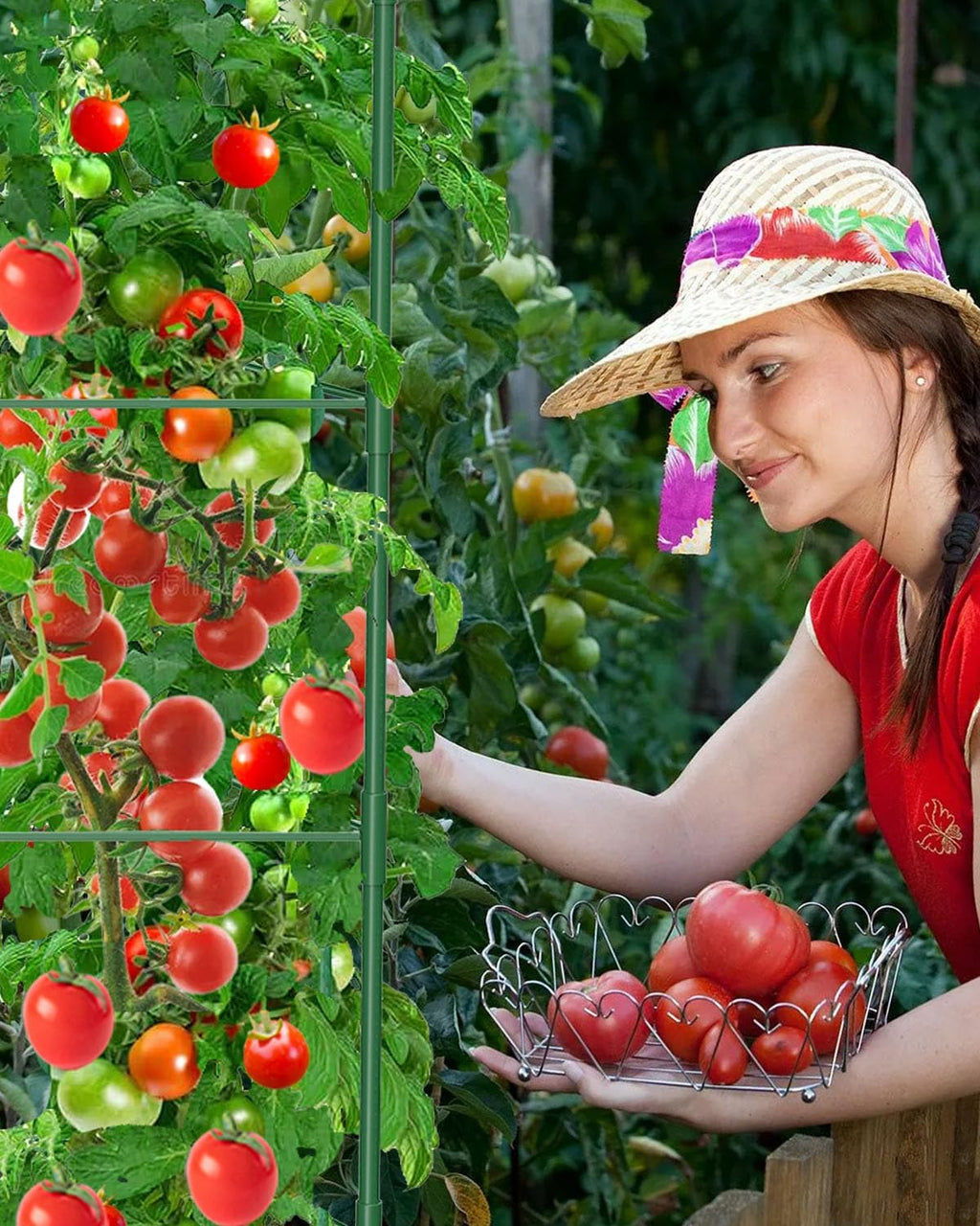 MYMULIKE 6 Pack Tomato Cages for Garden, 51in*13in Adjustable Tomatoes Plant Stakes Support Cages Trellis, Garden