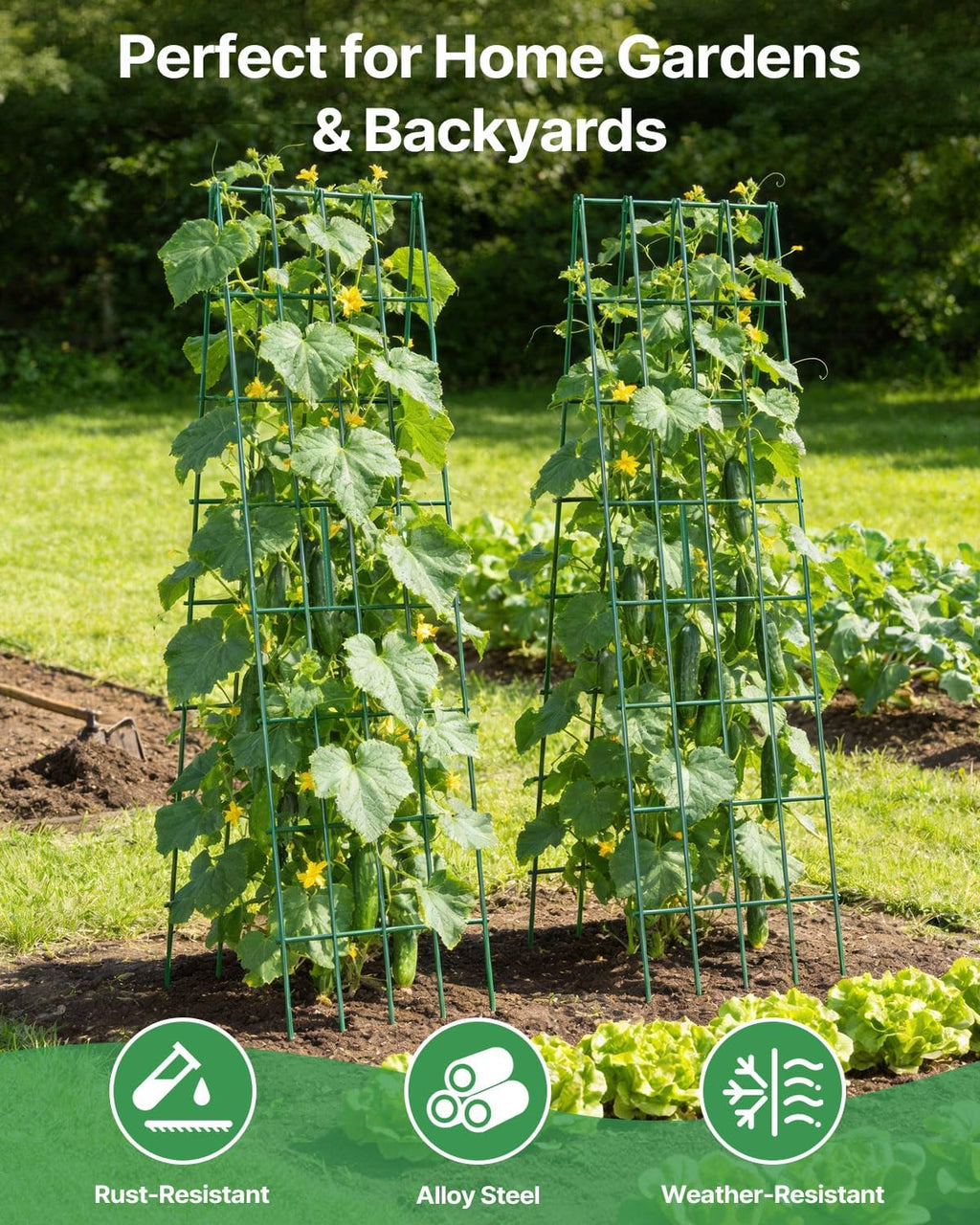 Suteck Cucumber Trellis 39.2" 2 Pack A-Frame, Foldable Metal | Garden Trellis for Cucumbers, Peas, Beans & Climbing
