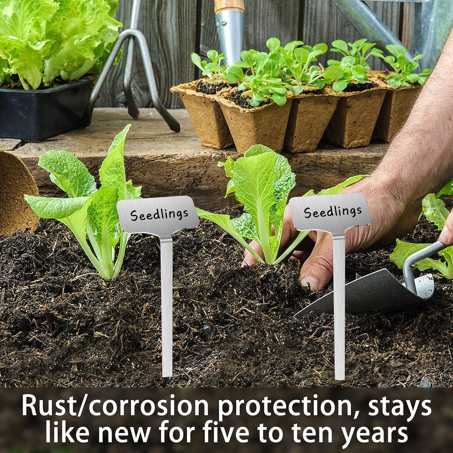 304 Stainless Steel Plant Label, 50 Waterproof Metal Plant Label Stakes and Marker Pen, 7.87" Garden Markers for