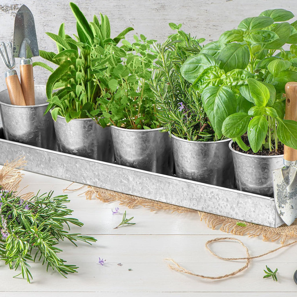 FoldTier 2 Sets Indoor Herb Garden Planter Kit with 10 Metal Pots, Silver | Metal Pots with Drainage Holes, Plant
