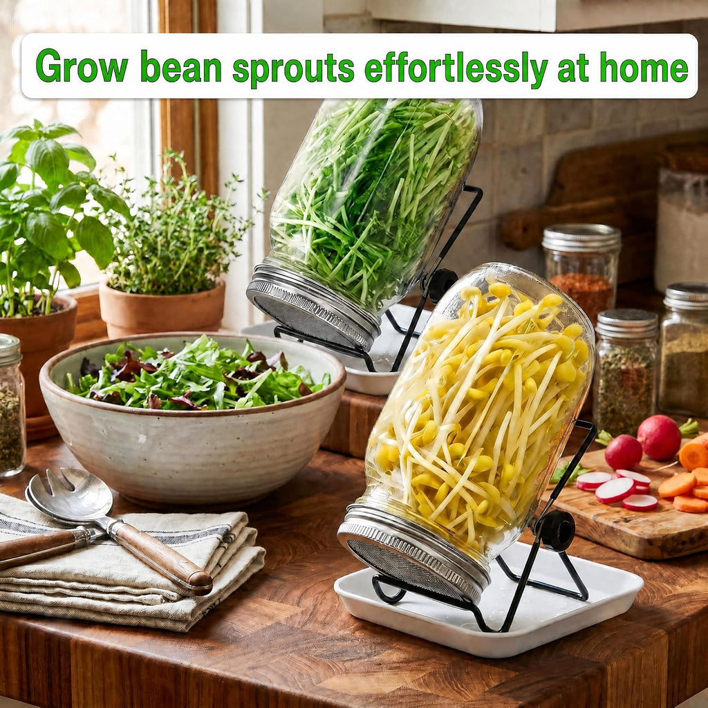 4 Large 1000ML Wide Mouth Mason Jar Sprouting Kit, with Stainless Steel Stand, Drain Tray & Cleaning Brush, High