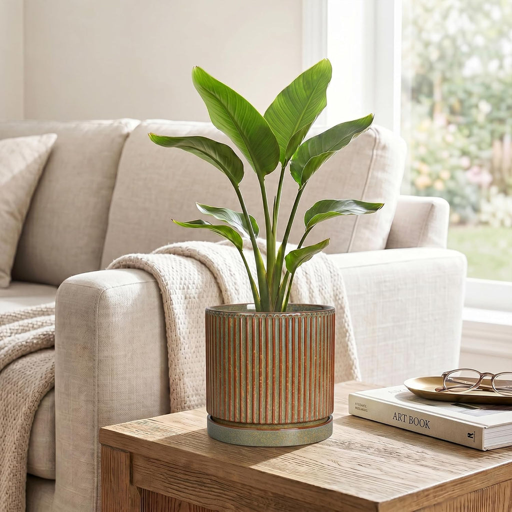 6 Inch Plant Pot, Ceramic Planters with Saucer, Retro Brown | Round Flower Pots with Drainage Hole, Indoor Pots for