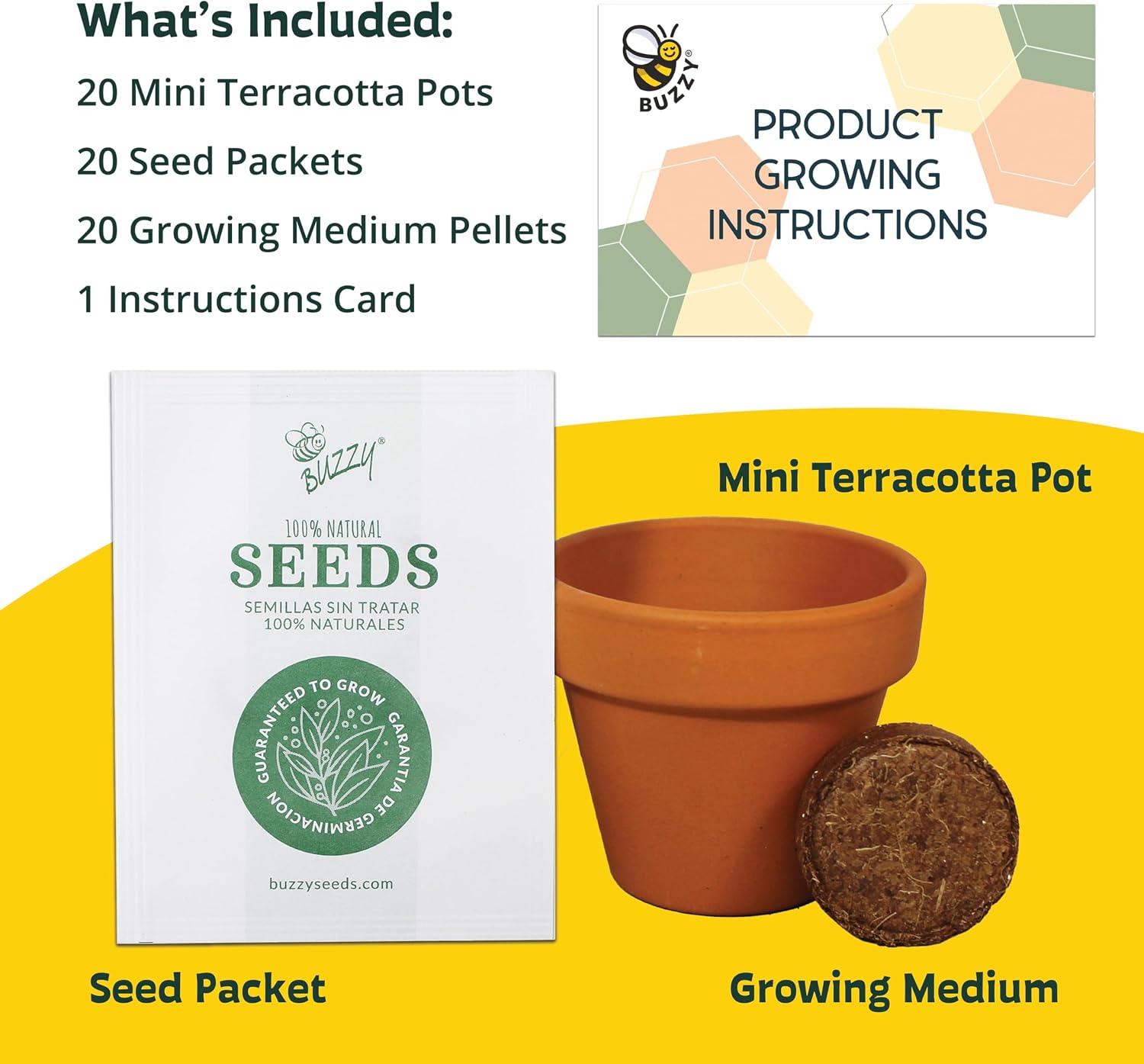 BUZZY Seeds Forget-Me-Not Grow Kit, Bulk 20-Pack - Mini Terracotta Pot Grow Set - Complete Indoor/Outdoor Gardening Kit