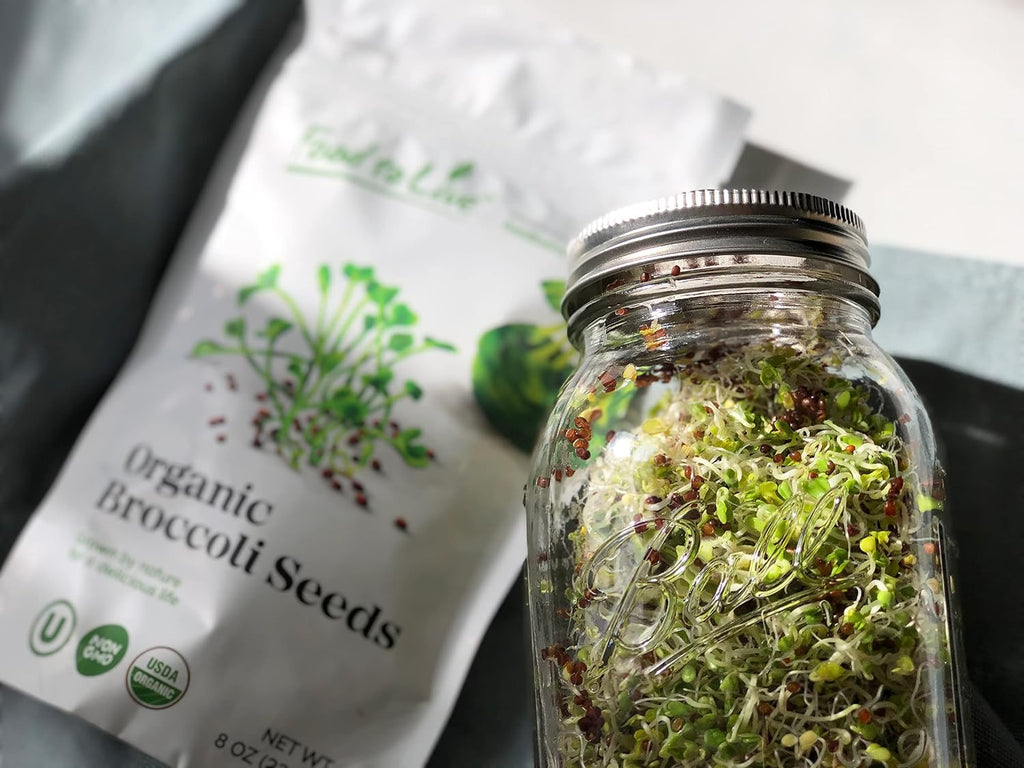 Food to Live Organic Broccoli Seeds for Sprouting, 4 Pounds – Non-GMO, Vegan, Kosher, Sirtfood, Bulk. Rich in