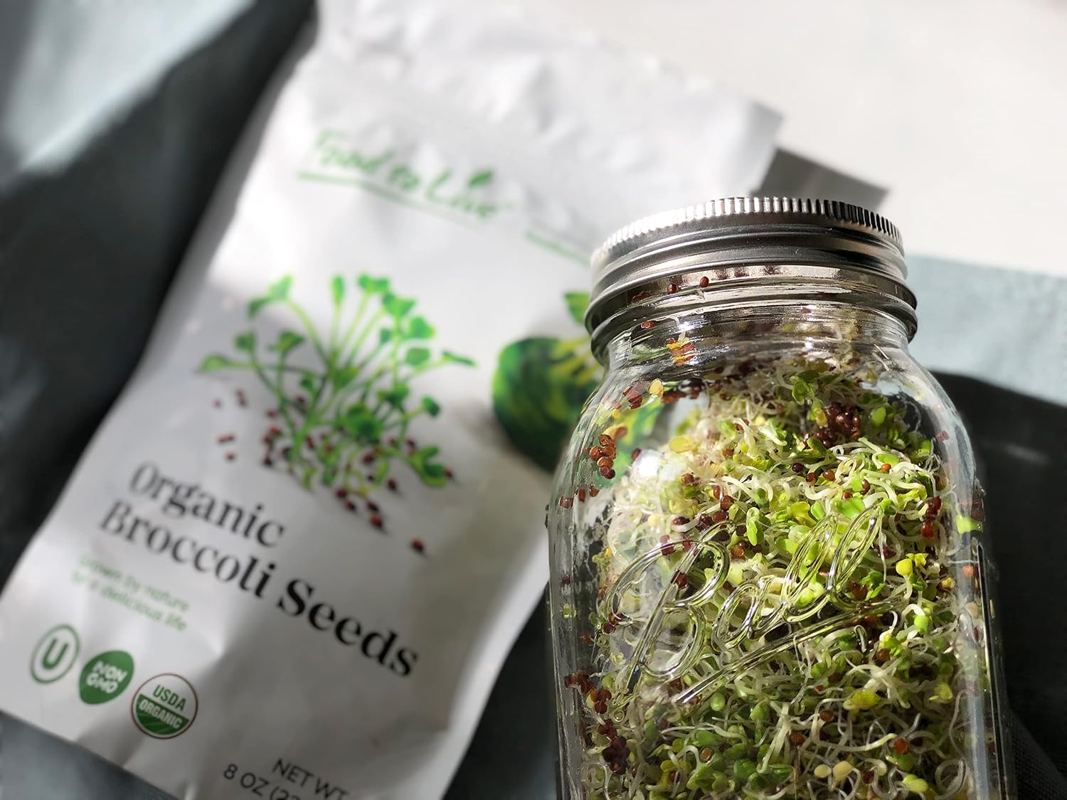 Food to Live Organic Broccoli Seeds for Sprouting, 4 Pounds – Non-GMO, Vegan, Kosher, Sirtfood, Bulk. Rich in