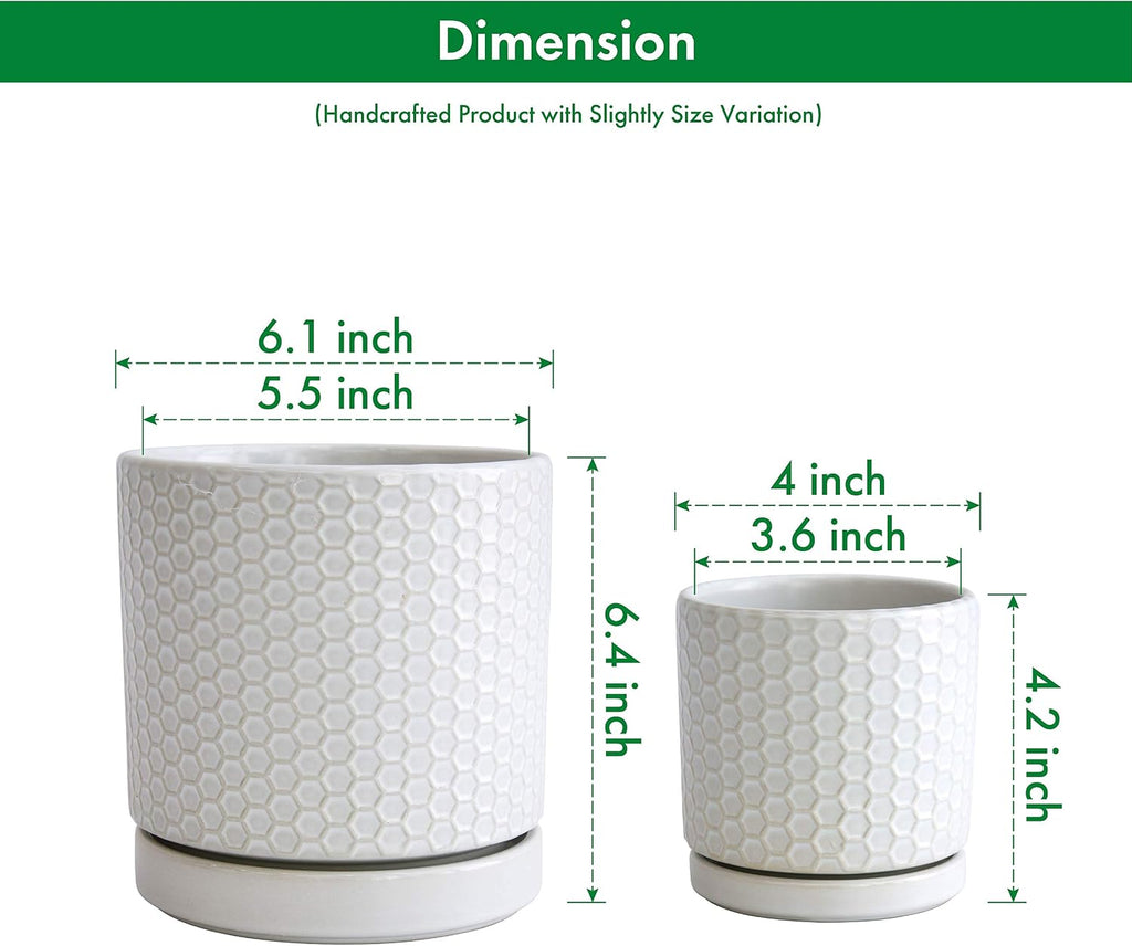 D'vine Dev 2-Pack Honeycomb Ceramic Planters, 4/6 in, 99-C-1-N | Sculptural Surface Detail, Timeless Design, Functional