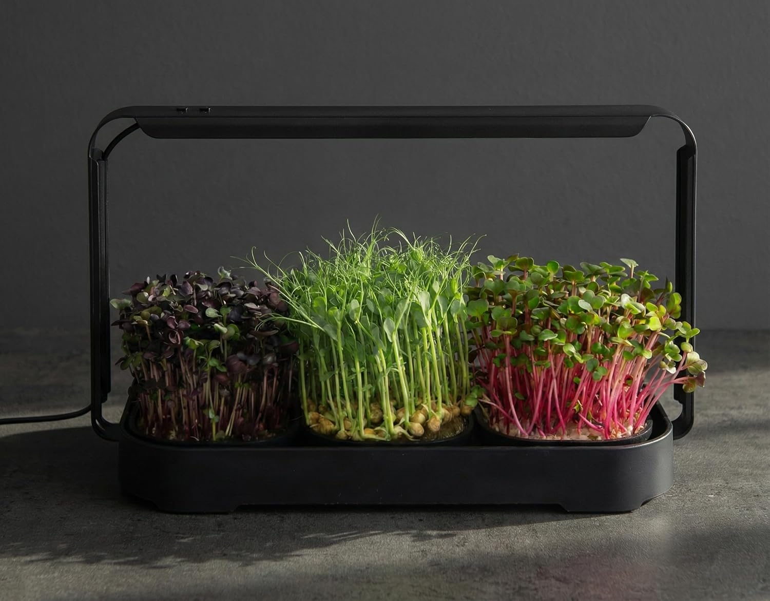 Microgreens Growing Kit Indoor, Micro Greens Indoor Herb Garden Kit with LED Light, 3 Microgreens Growing Trays, 6 Jute