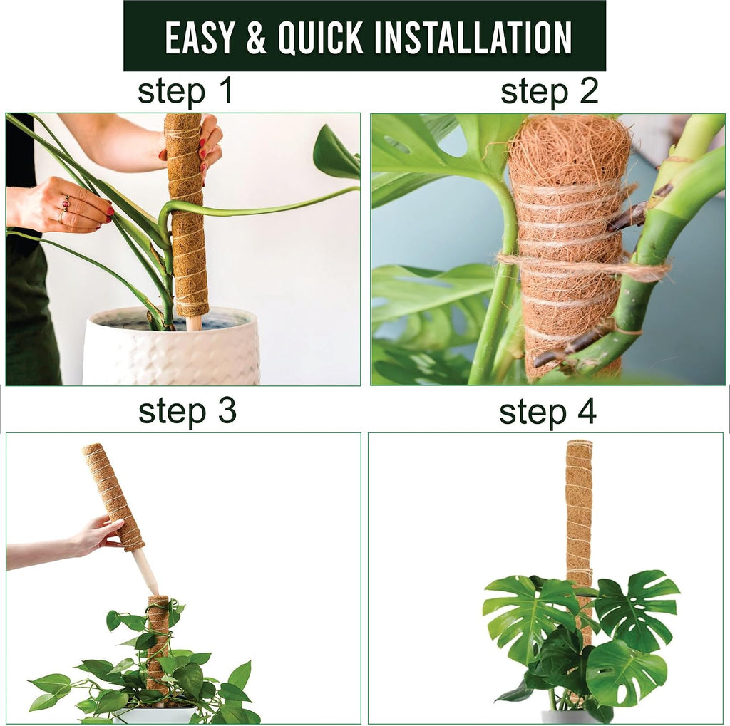 Moss Pole Pack of 4 – 50CM Monstera Plant Support | Natural Coco Coir Plant Poles for Indoor Plants | Extendable Moss
