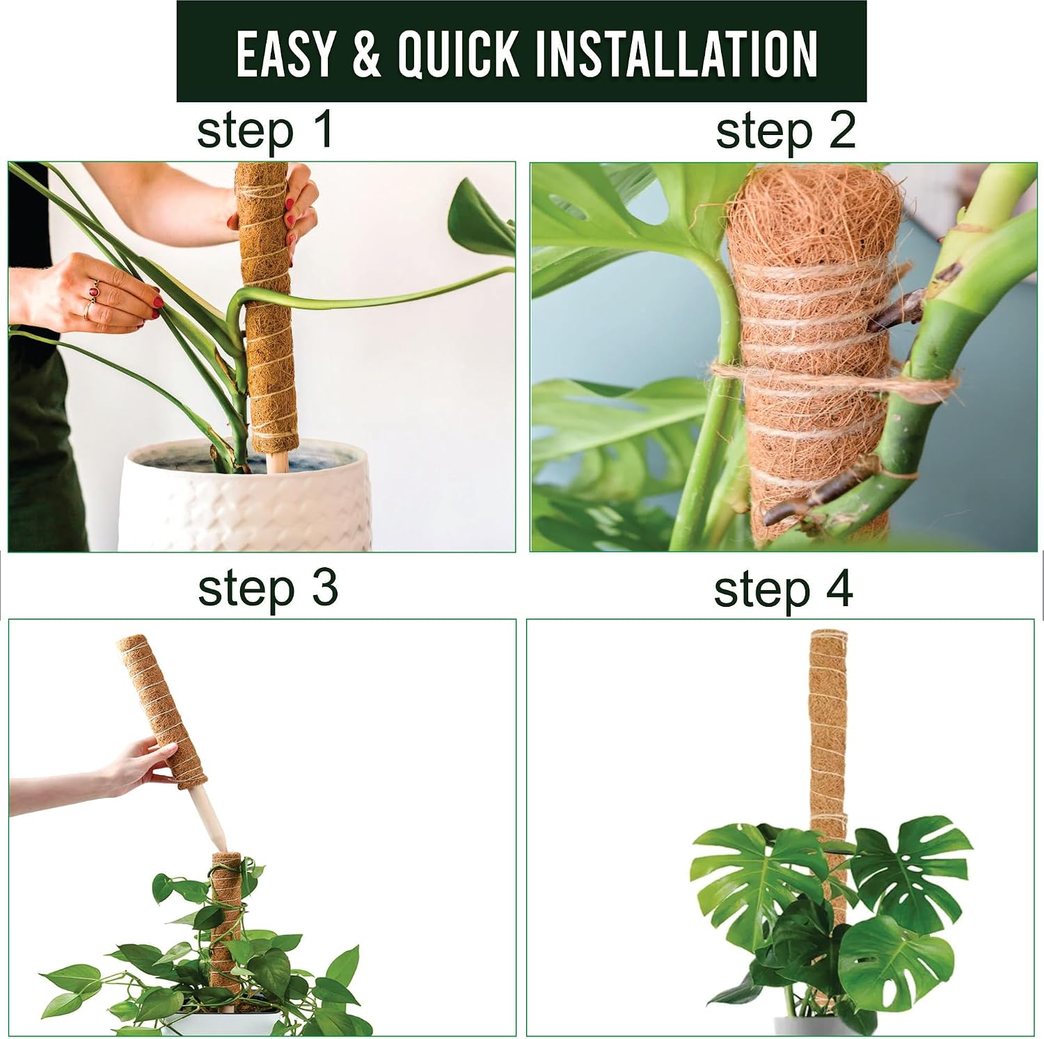 Moss Pole Pack of 4 – 50CM Monstera Plant Support | Natural Coco Coir Plant Poles for Indoor Plants | Extendable Moss