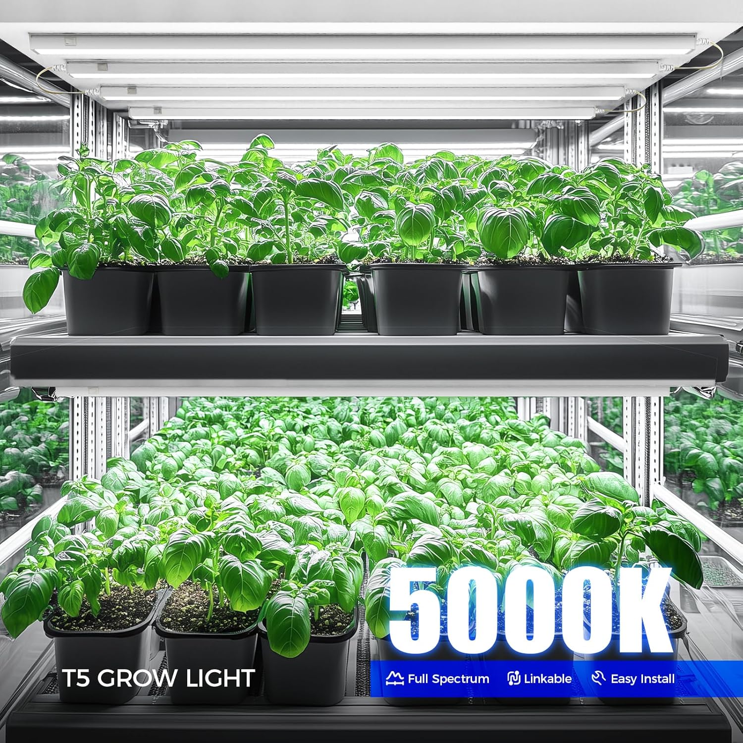 Barrina T5 Grow Lights, 4FT 160W (8 X 20W), 5000K, Full Spectrum, 8 Packs | Grow Light with Separate Switch, Linkable