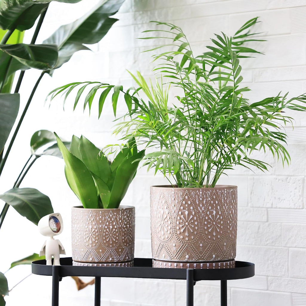 8 Inch + 6 Inch Plant Pot with Drainage Holes and Saucers, Indoor Ceramic Planter for Plants Succulent Orchid Flower