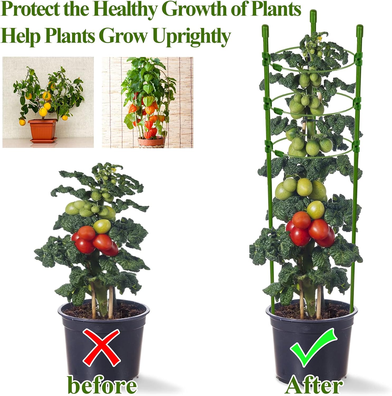 4 Packs 30inch Plant Support Cages with 3 Adjustable Support Rings- Small Tomato Cage for Pots Plant Holder for Home