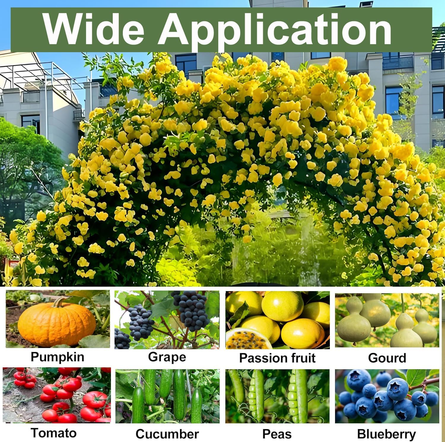 Garden Arch Trellis for Climbing Plants Outdoor - (Black, 81x36x32in) Cucumber Trellis for Raised Bed with Net, Garden