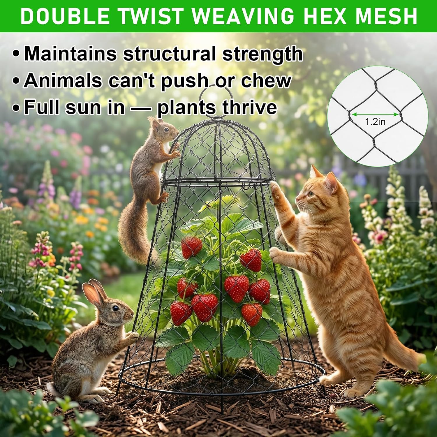 Garden Cloches for Plants 3 Pack - Chicken Wire Outdoor Plant Protectors from Animals - Heavy-Duty Metal Cage with