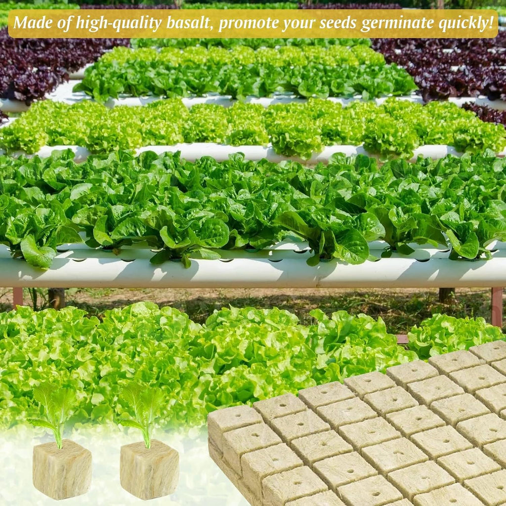 Halatool 2 Inch Rockwool Cubes for Hydroponics, 192 Plugs Seed Starter Cube | High Germination Rate for Vegetables &